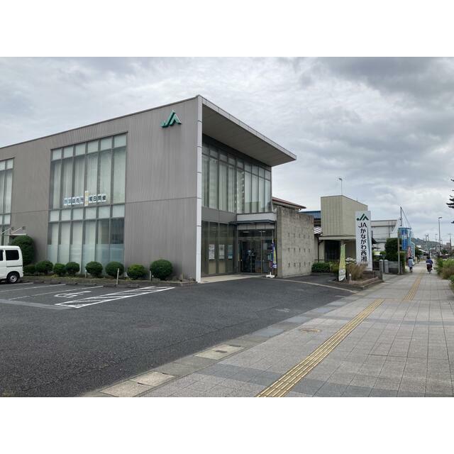 銀行　ＪＡかながわ西湘酒匂支店（銀行）まで944m