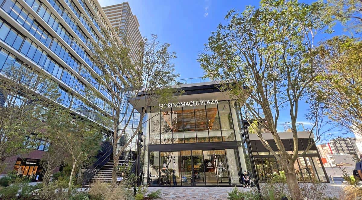 ドラックストア　マツモトキヨシ調剤薬局杜の街グレース店（ドラッグストア）まで952m