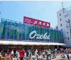 スーパー　スーパーオオゼキ上野毛店（スーパー）まで559m