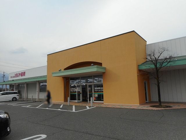 ドラックストア　とをしや薬局　三郷店（ドラッグストア）まで1100m