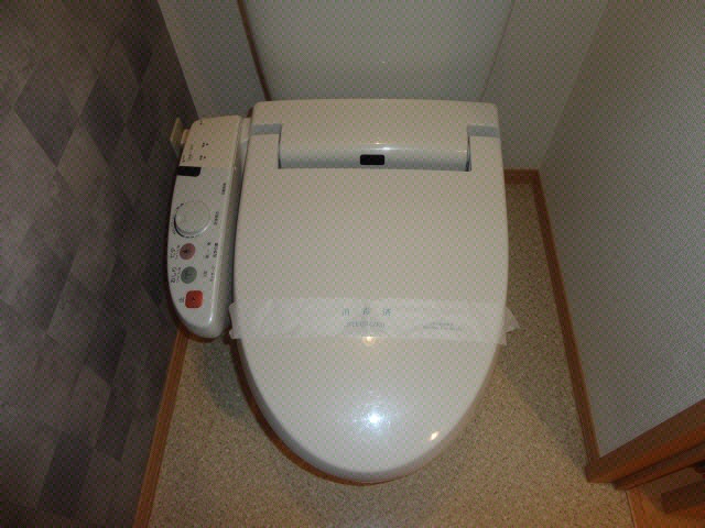 トイレ　写真は別号室です。