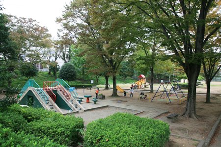 公園　美しの森公園（公園）まで1231m