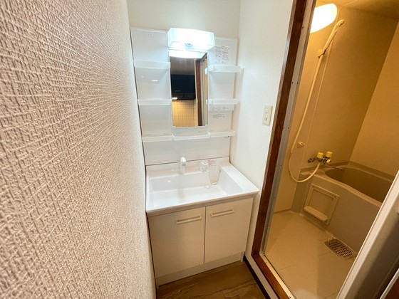 洗面設備　※別部屋の写真です