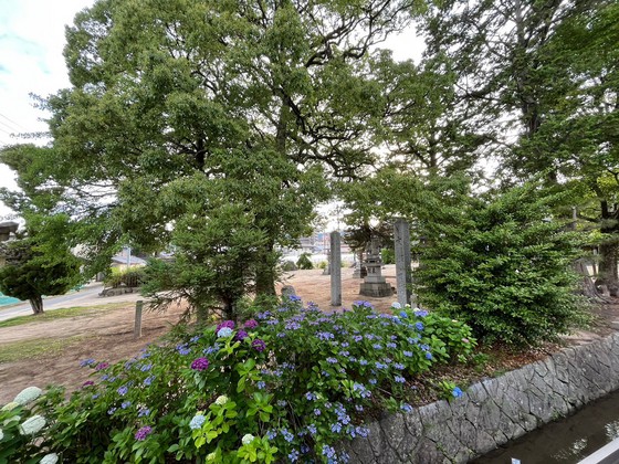 眺望　※別号室の写真を使用しております。