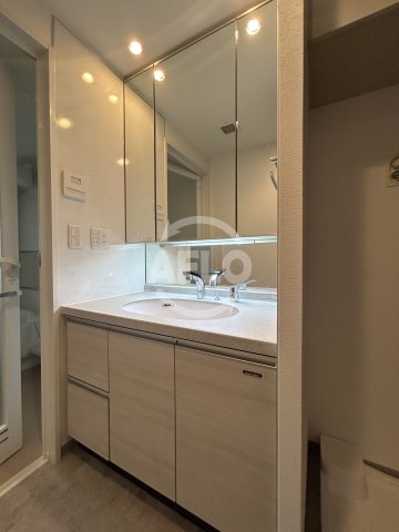 洗面設備　ディーグラフォート大阪NYタワー肥後橋　独立洗面台