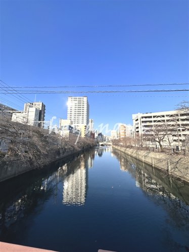 その他　大岡川（旭橋）（その他）まで266m