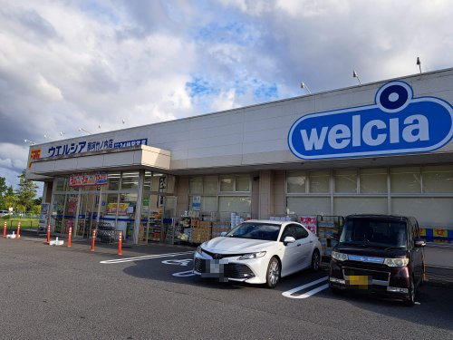 ドラックストア　ウェルシア那珂竹ノ内店（ドラッグストア）まで655m