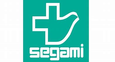 ドラックストア　ドラッグセガミ大和田店（ドラッグストア）まで217m