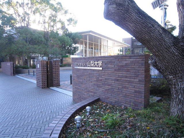 大学・短大　山梨大学徒歩（６分）（大学・短大）まで450m