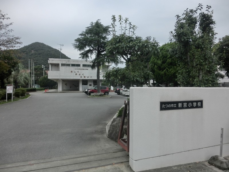 小学校　たつの市立新宮小学校（小学校）まで589m