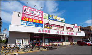 スーパー　マックスバリュエクスプレス中の島店（スーパー）まで763m