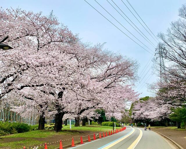 眺望　駒沢公園まで650m