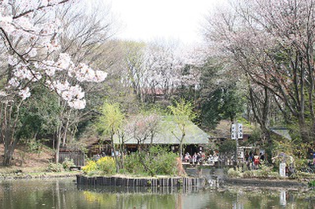 公園　せせらぎ公園（公園）まで313m