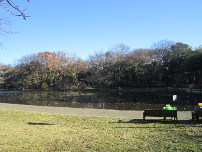 公園　せせらぎ公園（公園）まで269m
