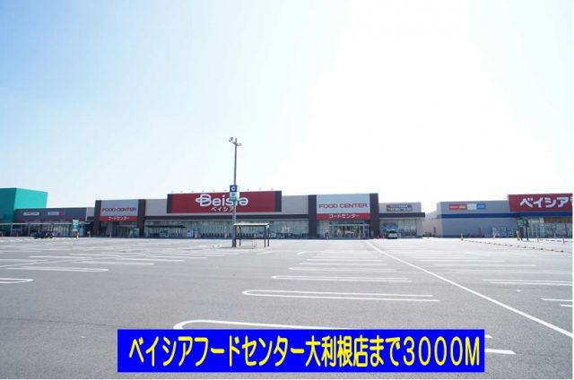スーパー　ベイシアフードセンター大利根店（スーパー）まで3000m