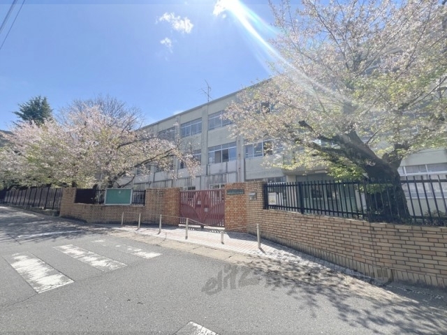 中学校　醍醐中学校（中学校）まで490m