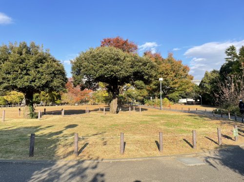 公園　中目黒公園（公園）まで1074m