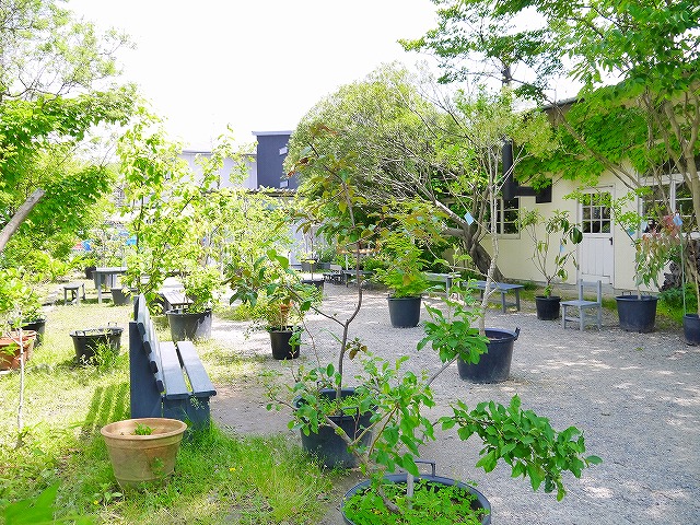 飲食店　ＫＵＲＵＭＩＮＯＫＩ（くるみの木）一条店（飲食店）まで1514m