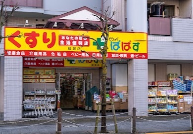 ドラックストア　どらっぐ ぱぱす 綾瀬店（ドラッグストア）まで700m