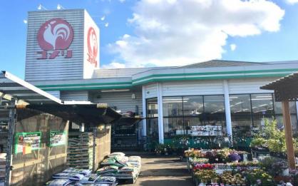ホームセンター　コメリハード&グリーン総和店（ホームセンター）まで606m