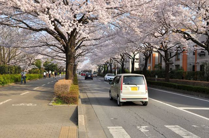 公園　御伊勢塚公園（公園）まで3200m