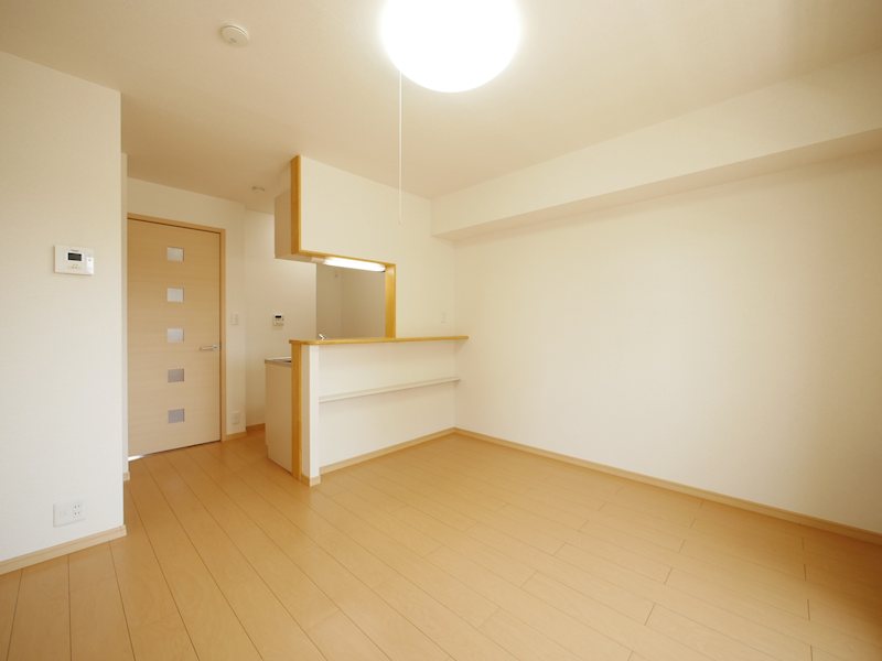 その他　ＬＤＫ