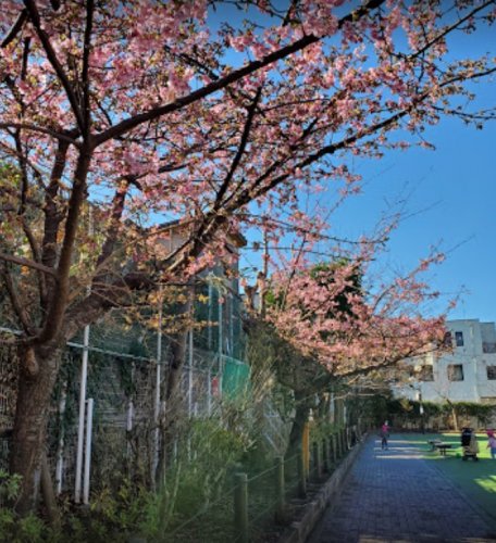 公園　本町さくら公園（公園）まで378m