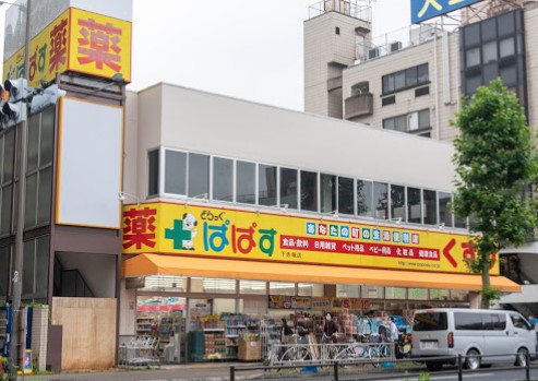 ドラックストア　どらっぐぱぱす 下赤塚店（ドラッグストア）まで1917m