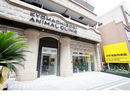 病院　京町堀動物病院（病院）まで1894m