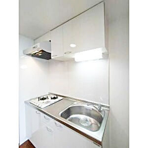 キッチン　【ペットと暮らせる人気分譲♪】好立地、設備充実でおすすめ！