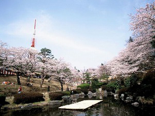 公園　八幡山公園（公園）まで489m