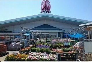 ホームセンター　コメリハード＆グリーン神栖店（ホームセンター）まで2200m