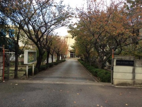 小学校　千葉市立みつわ台南小学校（小学校）まで448m