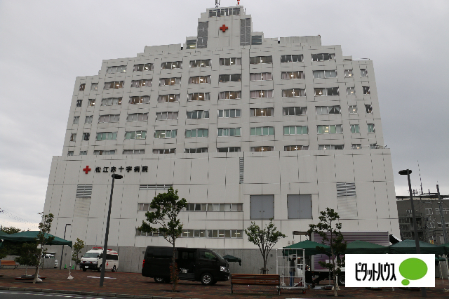 病院　松江赤十字病院（病院）まで2158m