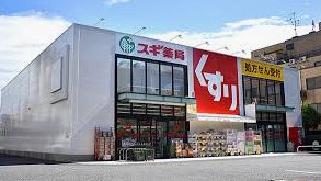 ドラックストア　スギ薬局江東千石店（ドラッグストア）まで339m