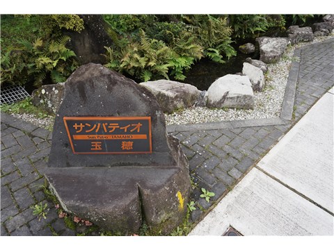 その他　（その他）まで0m