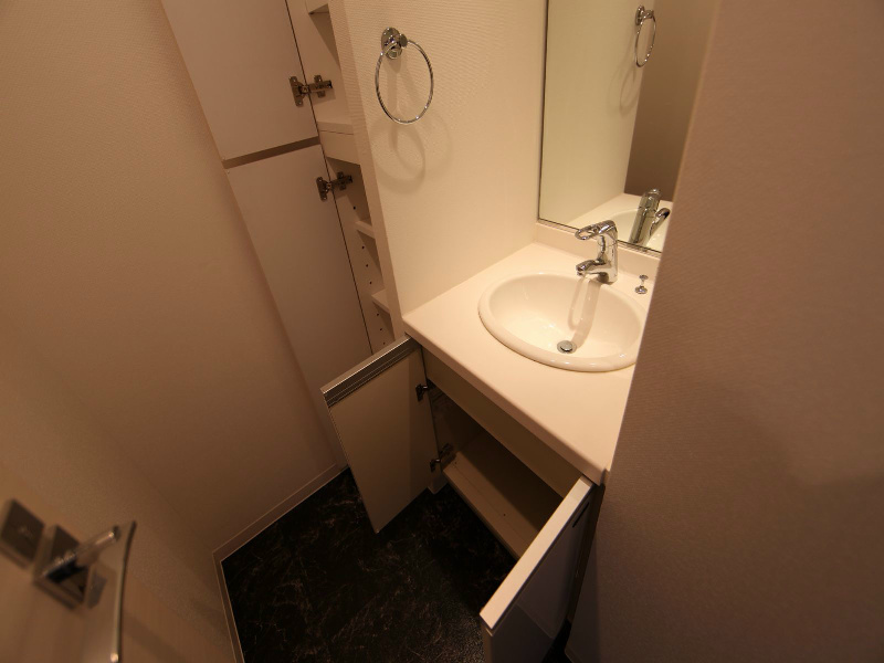洗面設備　脱衣所　独立洗面化粧台　収納スペース有