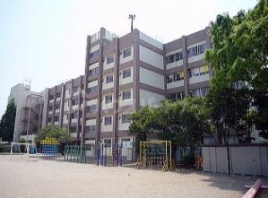 小学校　葛飾区立葛飾小学校（小学校）まで290m