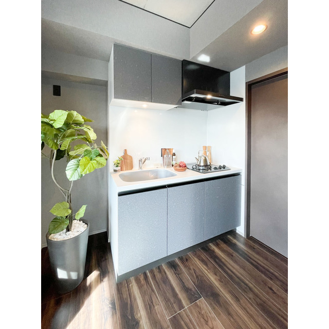 キッチン　家具・家電の備え付けはありません