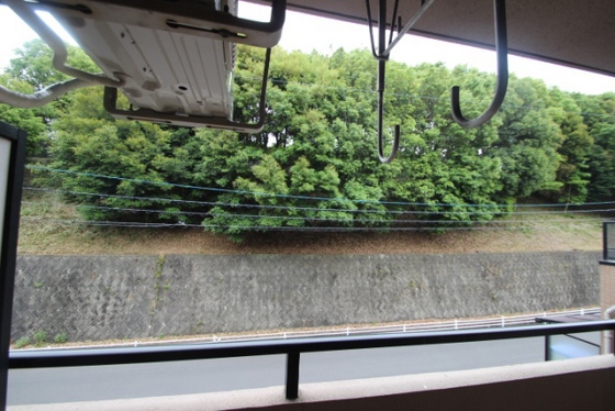 眺望　※別部屋の写真です