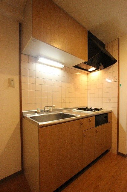 キッチン　同物件別号室のものです。