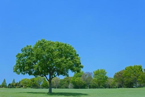 その他　豊田町駅(JR 東海道本線)（その他）まで747m