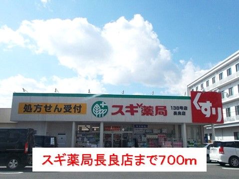 ドラックストア　スギ薬局長良店（ドラッグストア）まで700m