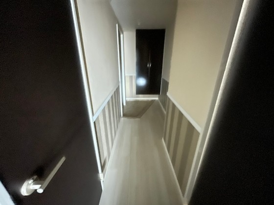 玄関　※別部屋の写真です