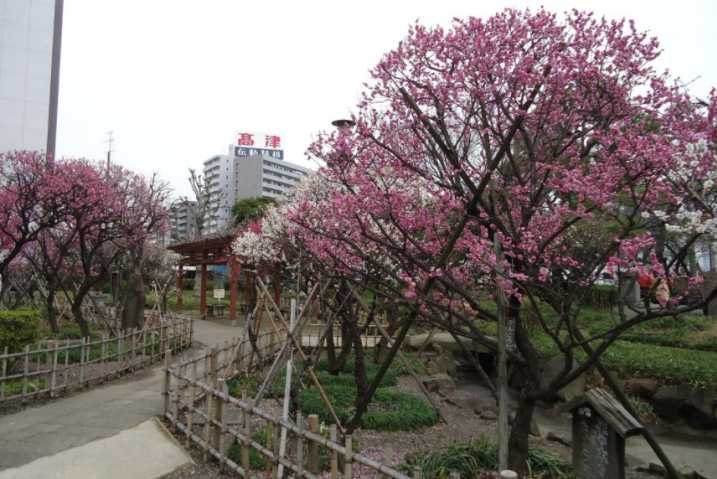 公園　聖跡蒲田梅屋敷公園（公園）まで200m
