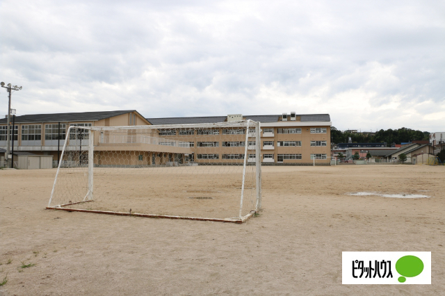 小学校　松江市立津田小学校（小学校）まで159m