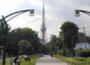 公園　芝公園（公園）まで81m