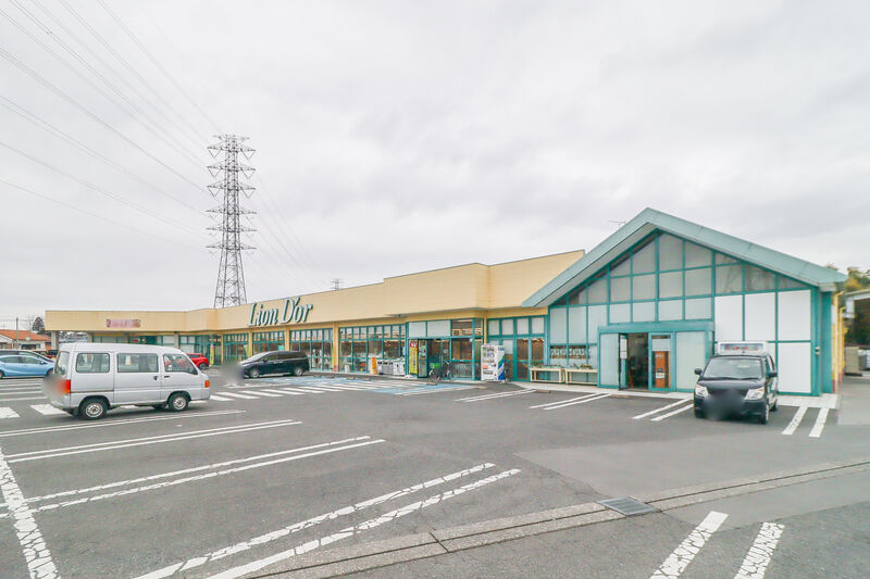 スーパー　リオンドール高根沢店（スーパー）まで1076m