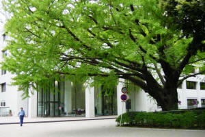 図書館　都立中央図書館（図書館）まで640m