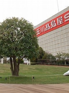 ショッピングセンター　玉川高島屋ショッピングセンター（ショッピングセンター）まで415m